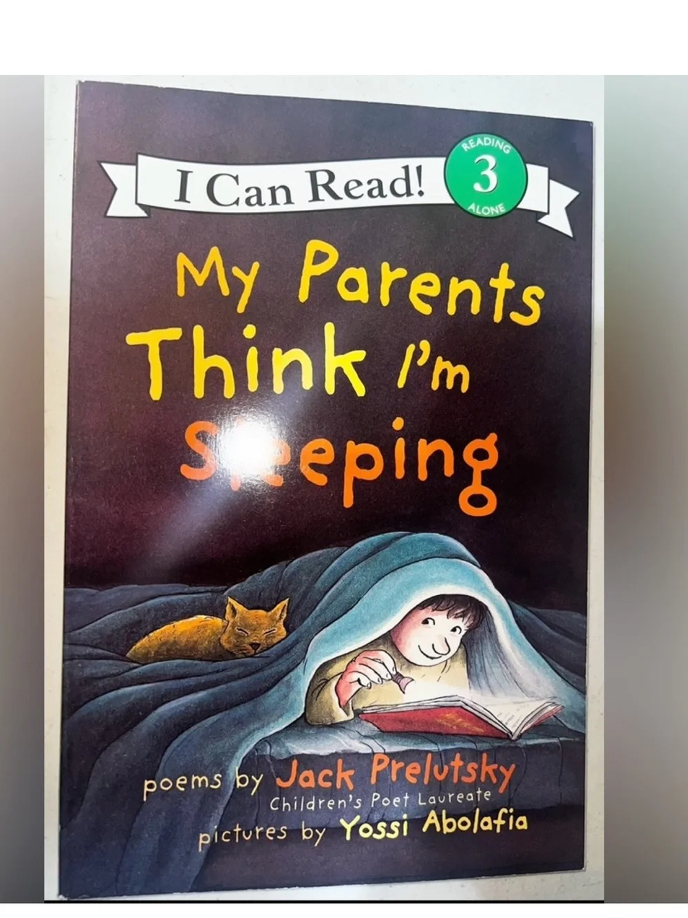 $2 MY PARENTS THINK I'M SLEEPING BOOK $2 WITH ANY $10 ORDER OR MORE